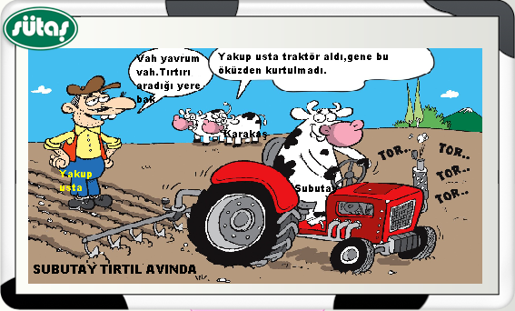 Sütaş karikatürleri Nizip.com'da Olursa.