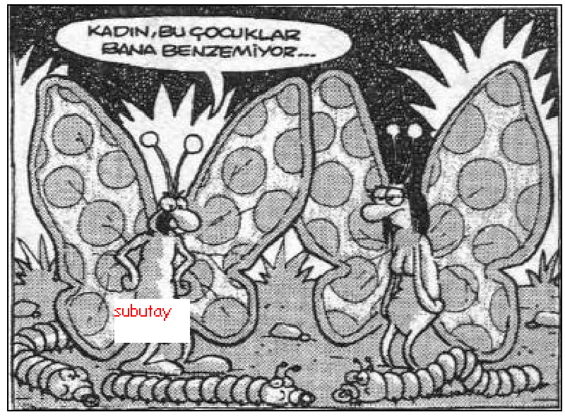 Sütaş karikatürleri Nizip.com'da Olursa.
