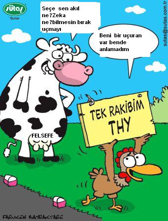 Sütaş karikatürleri Nizip.com'da Olursa.