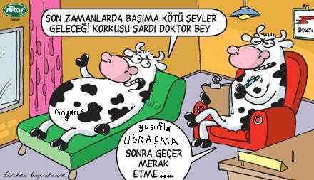 Sütaş karikatürleri Nizip.com'da Olursa.