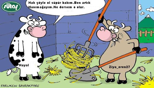 Sütaş karikatürleri Nizip.com'da Olursa.