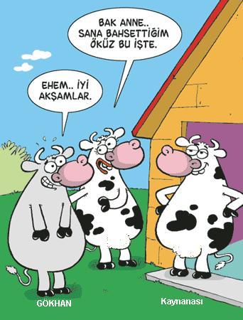 Sütaş karikatürleri Nizip.com'da Olursa.