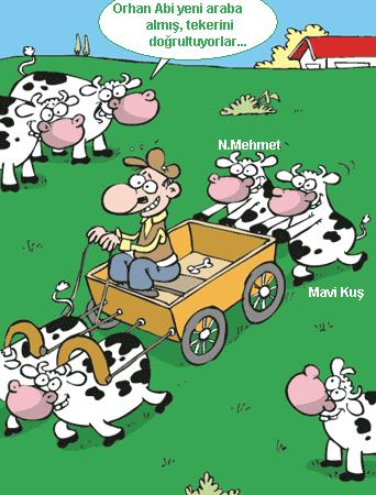 Sütaş karikatürleri Nizip.com'da Olursa.