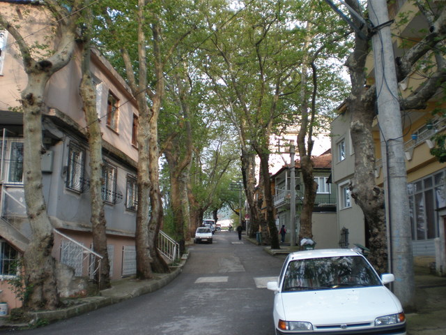 Nizipcom Bursa ve Uludağ Gezisi