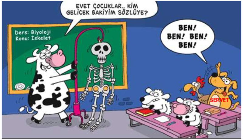 Sütaş karikatürleri Nizip.com'da Olursa. Sütaş karikatürleri Nizip.com'da Olursa.
