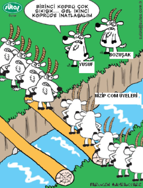 Sütaş karikatürleri Nizip.com'da Olursa.