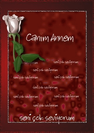 Anneniz ve Siz...