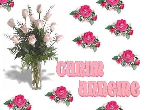 Anneniz ve Siz...