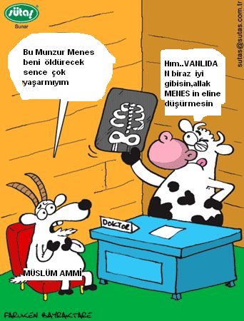 Sütaş karikatürleri Nizip.com'da Olursa.