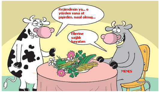 Sütaş karikatürleri Nizip.com'da Olursa.