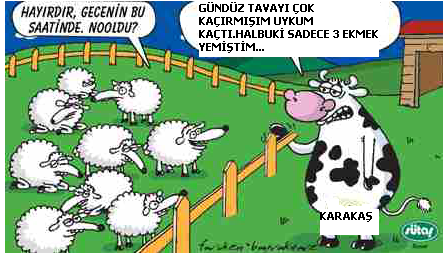 Sütaş karikatürleri Nizip.com'da Olursa.