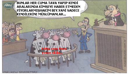 Sütaş karikatürleri Nizip.com'da Olursa. Sütaş karikatürleri Nizip.com'da Olursa.
