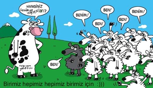Sütaş karikatürleri Nizip.com'da Olursa.