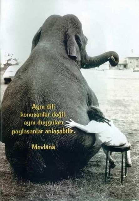 Nasıl Bir İnsan Olmak?