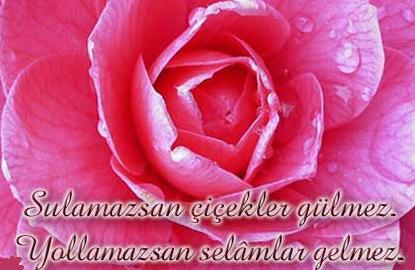 Nasıl Bir İnsan Olmak?
