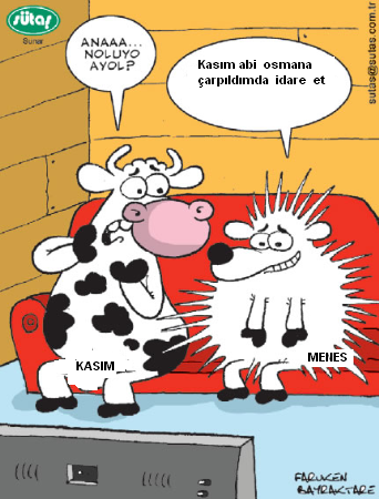 Sütaş karikatürleri Nizip.com'da Olursa.