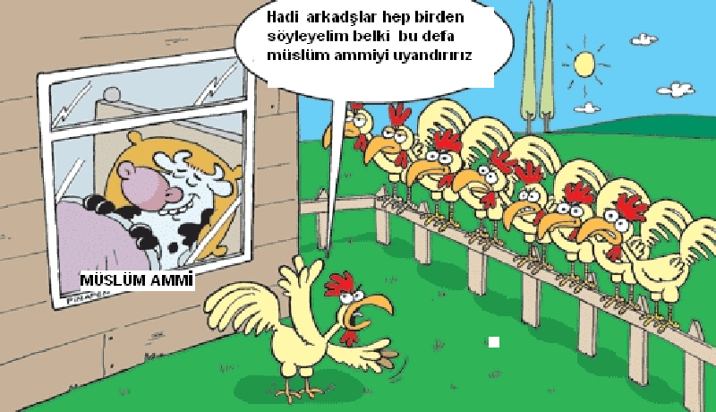 Sütaş karikatürleri Nizip.com'da Olursa.