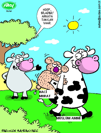 Sütaş karikatürleri Nizip.com'da Olursa.