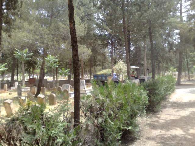 Mezarlıktaki Çalışmalar