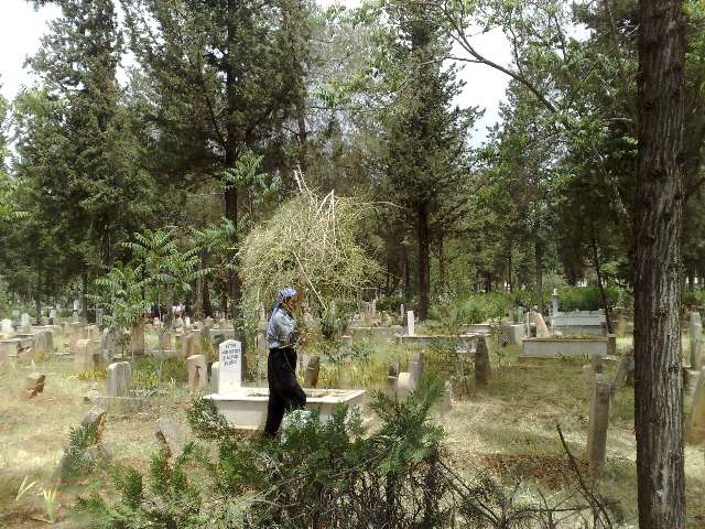 Mezarlıktaki Çalışmalar