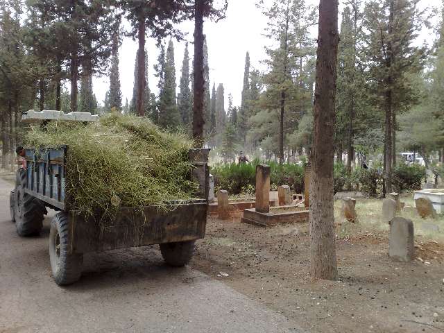 Mezarlıktaki Çalışmalar