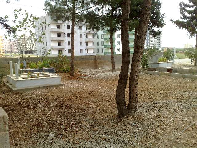 Mezarlıktaki Çalışmalar