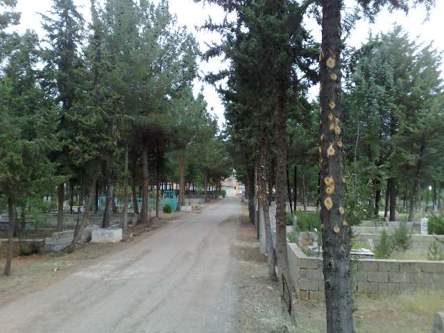 Mezarlıktaki Çalışmalar