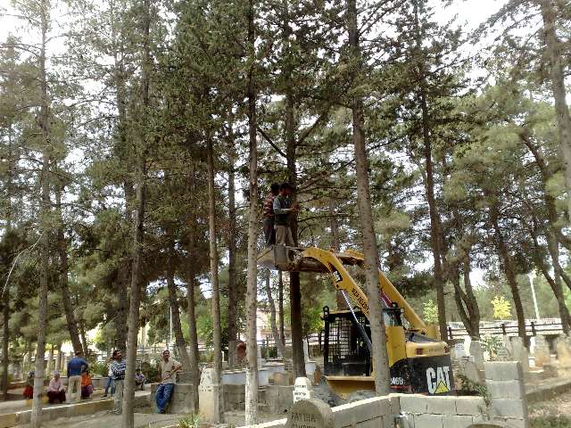 Mezarlıktaki Çalışmalar