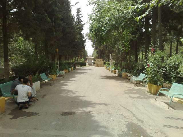 Mezarlıktaki Çalışmalar