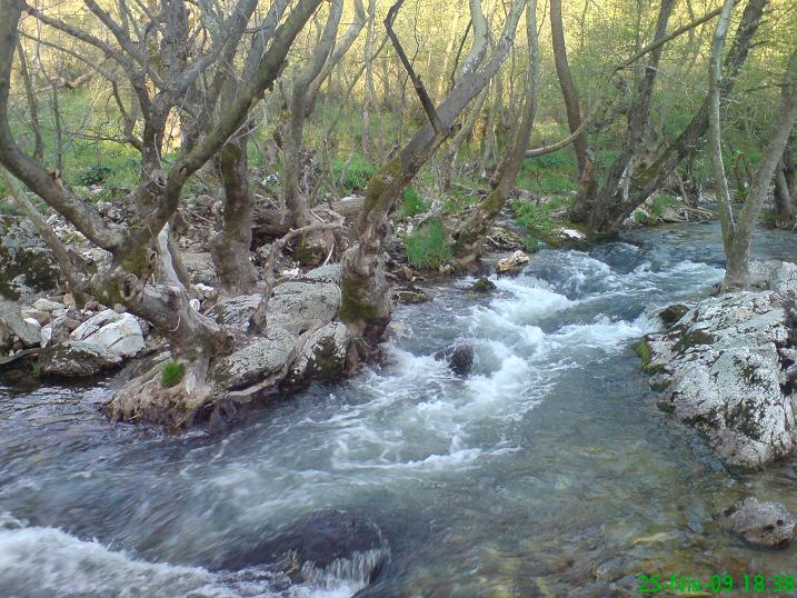 Böyle  yere  davet  ediyoruz  bursa  bir iki