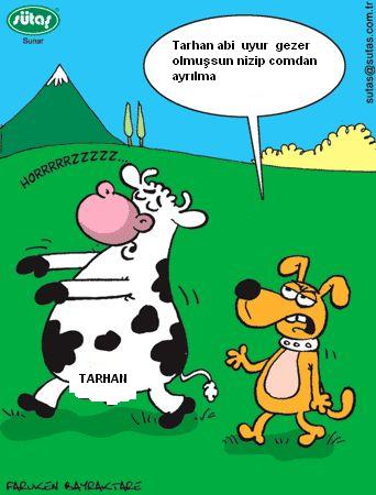 Sütaş karikatürleri Nizip.com'da Olursa.