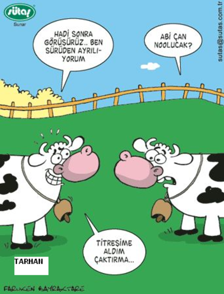 Sütaş karikatürleri Nizip.com'da Olursa.