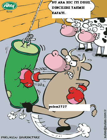 Sütaş karikatürleri Nizip.com'da Olursa.