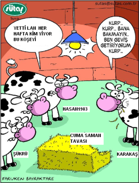 Sütaş karikatürleri Nizip.com'da Olursa.