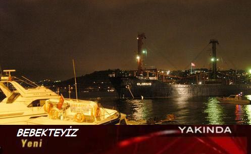 Yemekteyiz Geyikleri