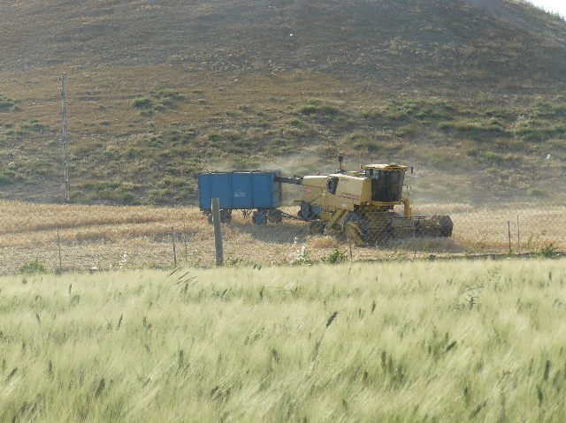Barak sulama (uygulama hataları)
