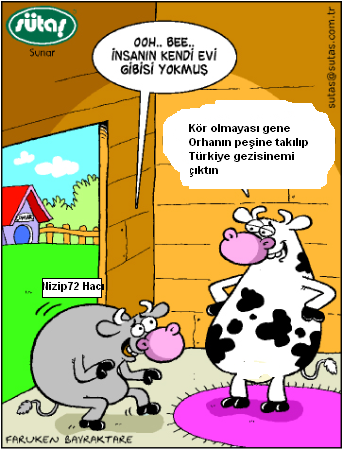 Sütaş karikatürleri Nizip.com'da Olursa.