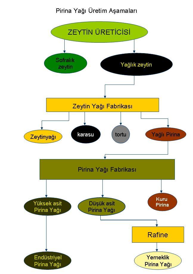 yemeklik ve kızartmalık pirina yağı