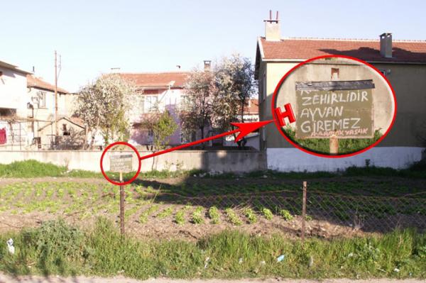 Yurdum İnsanı-2