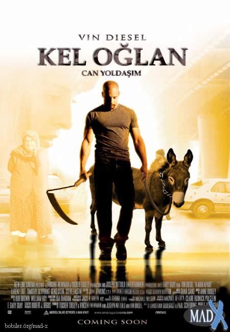 Türk İşi, Film Afişi