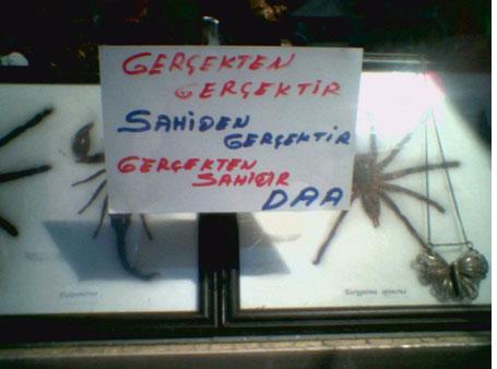 Yurdum İnsanı -3..:):):)