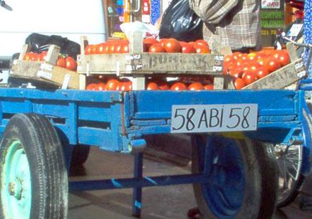 Yurdum İnsanı -4