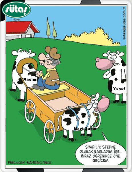 Sütaş karikatürleri Nizip.com'da Olursa.