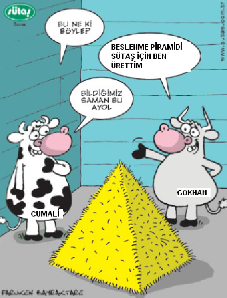 Sütaş karikatürleri Nizip.com'da Olursa.