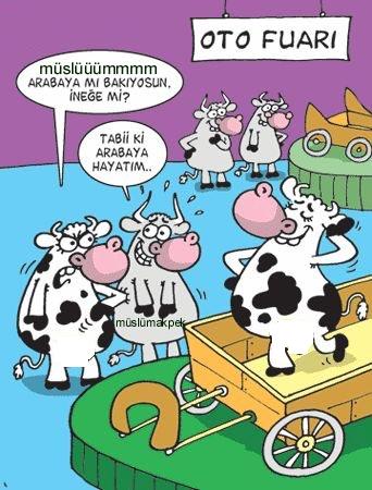 Sütaş karikatürleri Nizip.com'da Olursa.