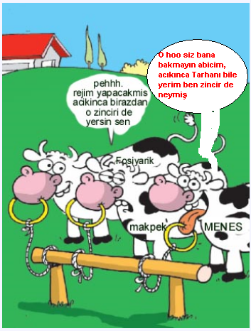 Sütaş karikatürleri Nizip.com'da Olursa.