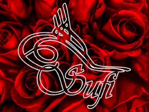 Sofi Kimdir?