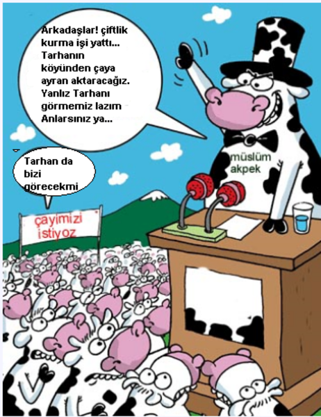 Sütaş karikatürleri Nizip.com'da Olursa.
