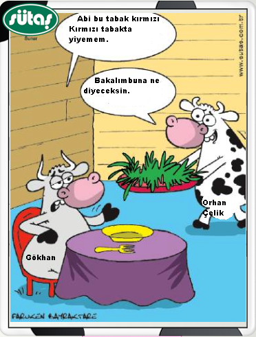 Sütaş karikatürleri Nizip.com'da Olursa.