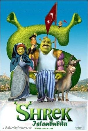 Oscar adayı Türk (!) Film afişleri !..
